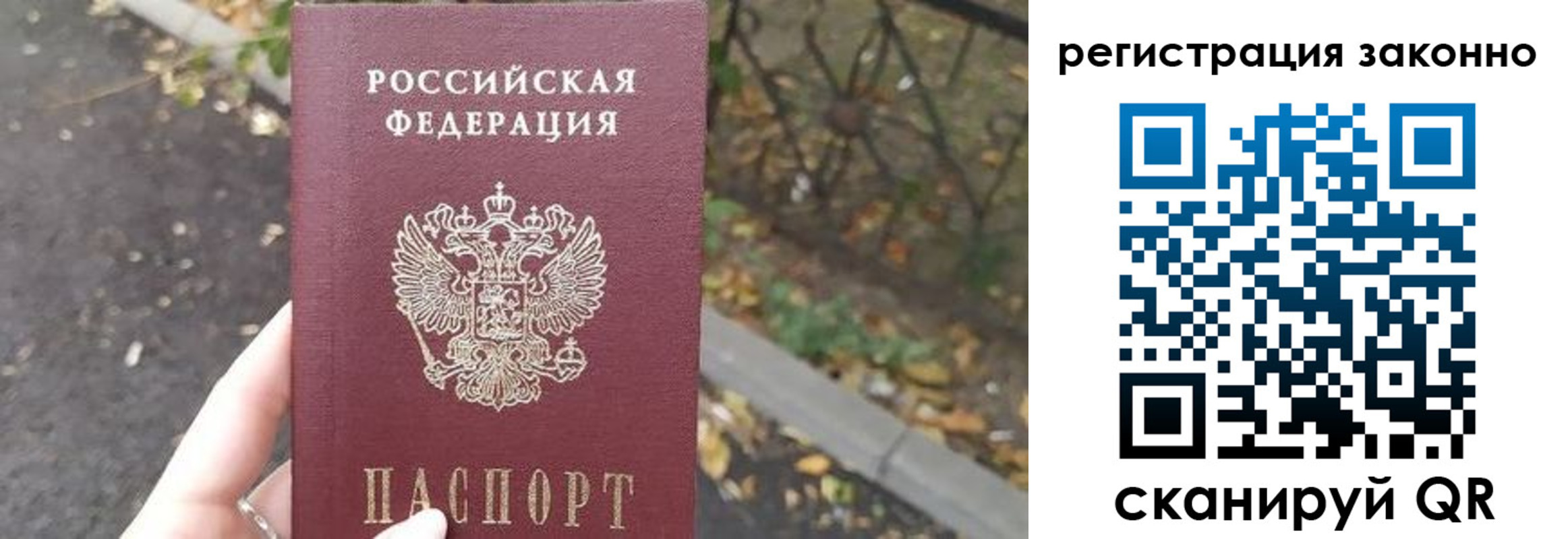 регистрация в Зиме
